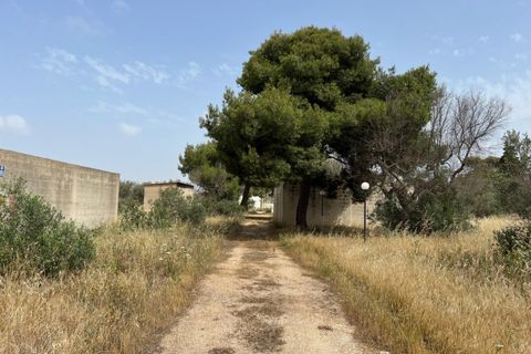 Terra a Matino, Lecce, Matino - € 198.000 | Ref: MAW-198 - foto 8