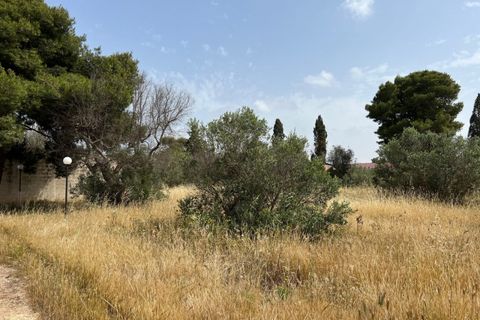 Terra a Matino, Lecce, Matino - € 198.000 | Ref: MAW-198 - foto 9
