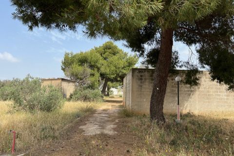 Terra a Matino, Lecce, Matino - € 198.000 | Ref: MAW-198 - foto 10