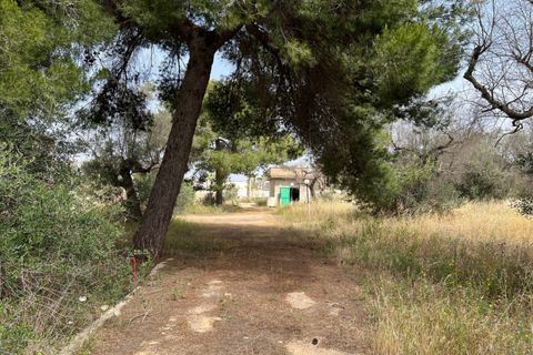 Terra a Matino, Lecce, Matino - € 198.000 | Ref: MAW-198 - foto 11