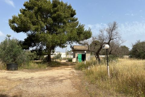 Terra a Matino, Lecce, Matino - € 198.000 | Ref: MAW-198 - foto 12