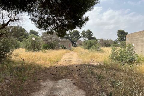 Terra a Matino, Lecce, Matino - € 198.000 | Ref: MAW-198 - foto 13