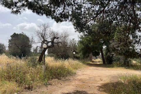 Terra a Matino, Lecce, Matino - € 198.000 | Ref: MAW-198 - foto 14