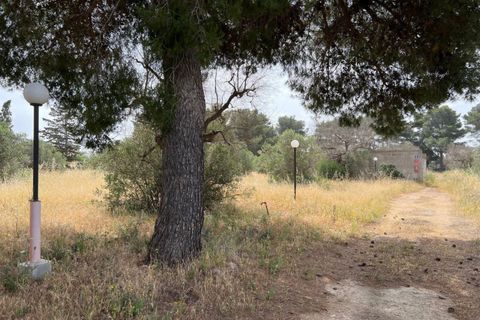 Terra a Matino, Lecce, Matino - € 198.000 | Ref: MAW-198 - foto 16