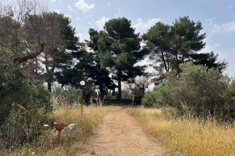 Terra a Matino, Lecce, Matino - € 198.000 | Ref: MAW-198 - foto 17