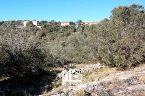 Landejendom i Vilafames, Castellon, Vilafames - € 250.000 | Ref: 5STR082022 - foto 33