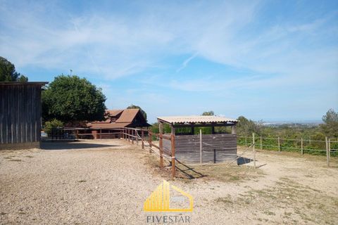 Villa i Montserrat, Valencia, Montserrat - € 375.000 | Ref: 5STR072023 - foto 3
