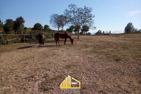 Villa i Montserrat, Valencia, Montserrat - € 375.000 | Ref: 5STR072023 - foto 8