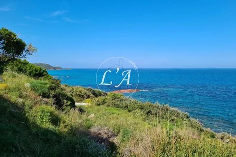 Villa i Porto-Vecchio, Corse-du-Sud, Porto-Vecchio - € 1.470.000 | Ref: LAT2M000888STE2 - foto 9