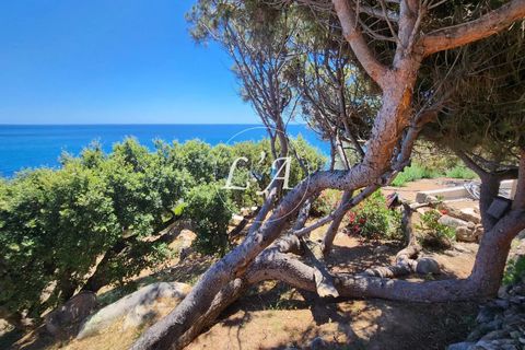 Villa i Porto-Vecchio, Corse-du-Sud, Porto-Vecchio - € 1.470.000 | Ref: LAT2M000888STE2 - foto 24