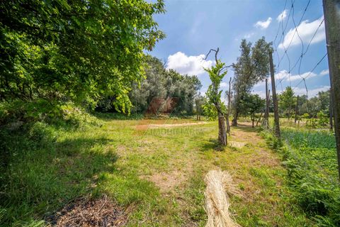 Villa a Fafe, Braga, Fafe - € 60.000 | Ref: 002-285 - foto 13