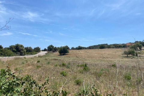 Helårsgrund i Son Servera, Mallorca, Son Servera - € 330.000 | Ref: FALC-CrYa-53254 - foto 2