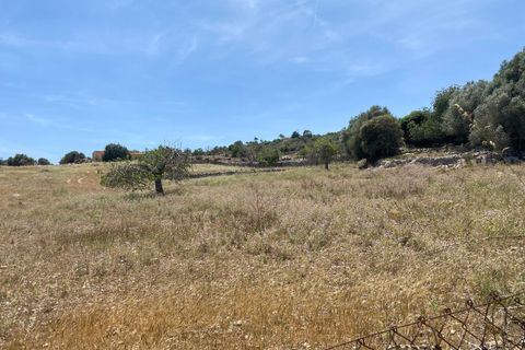 Helårsgrund i Son Servera, Mallorca, Son Servera - € 330.000 | Ref: FALC-CrYa-53254 - foto 3