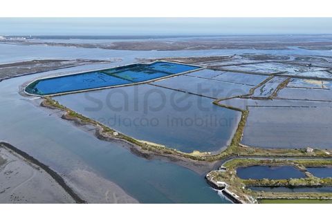 Helårsgrund i Aveiro, Aveiro, Aveiro - € 90.000 | Ref: 1987 - foto 3