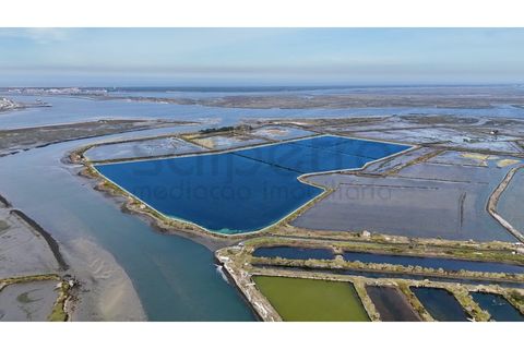 Helårsgrund i Aveiro, Aveiro, Aveiro - € 51.000 | Ref: 1990 - foto 2