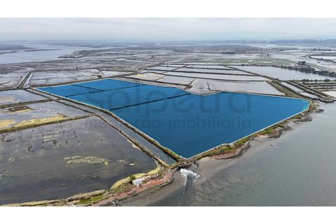 Helårsgrund i Aveiro, Aveiro, Aveiro - € 51.000 | Ref: 1990 - foto 3