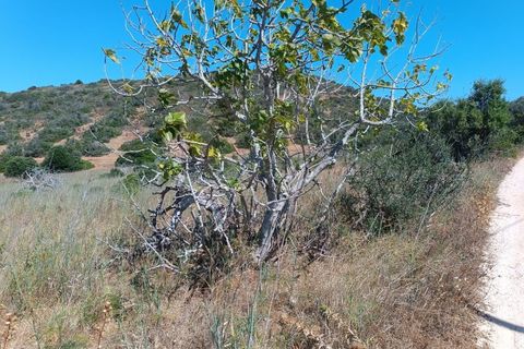 Helårsgrund i Budens, Faro, Budens - € 55.000 | Ref: SÒL_313 - foto 2