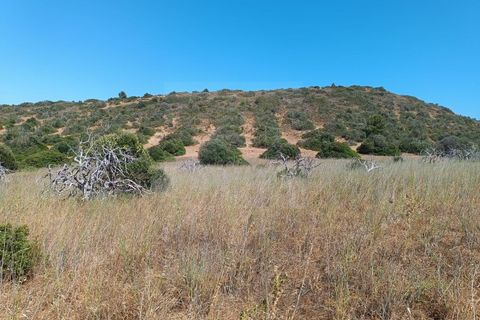 Helårsgrund i Budens, Faro, Budens - € 55.000 | Ref: SÒL_313 - foto 7