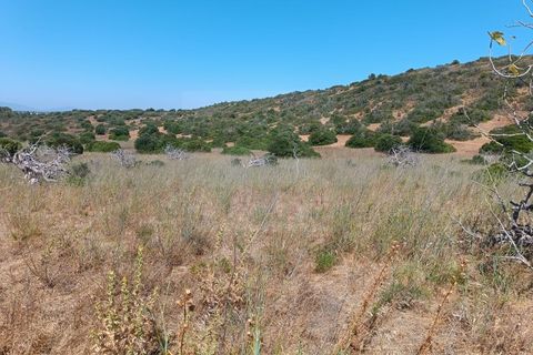 Helårsgrund i Budens, Faro, Budens - € 55.000 | Ref: SÒL_313 - foto 9