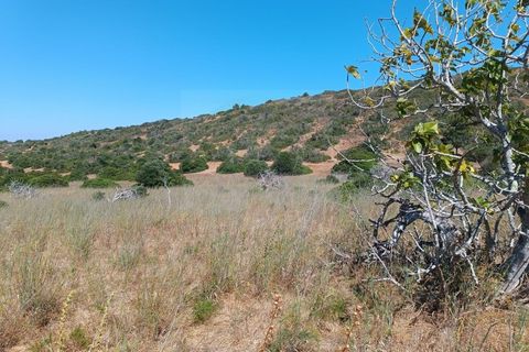 Helårsgrund i Budens, Faro, Budens - € 55.000 | Ref: SÒL_313 - foto 11