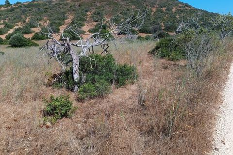 Helårsgrund i Budens, Faro, Budens - € 55.000 | Ref: SÒL_313 - foto 14