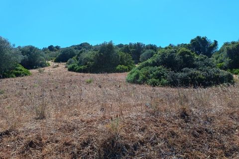 Helårsgrund i Budens, Faro, Budens - € 55.000 | Ref: SÒL_313 - foto 15
