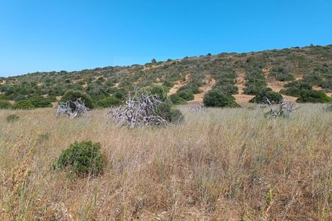 Helårsgrund i Budens, Faro, Budens - € 55.000 | Ref: SÒL_313 - foto 17