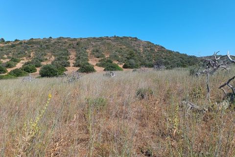 Helårsgrund i Budens, Faro, Budens - € 55.000 | Ref: SÒL_313 - foto 19