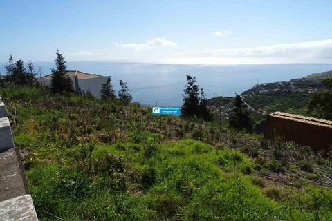 Helårsgrund i Arco da Calheta, Madeira, Arco da Calheta - € 600.000 | Ref: 1510 - foto 1