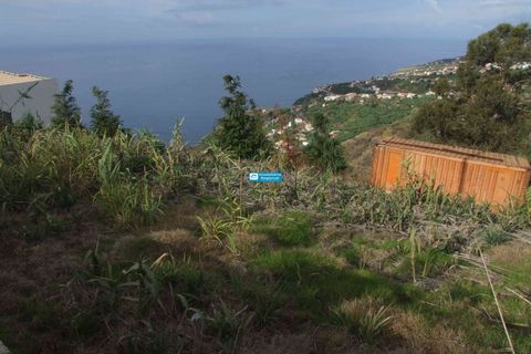 Helårsgrund i Arco da Calheta, Madeira, Arco da Calheta - € 600.000 | Ref: 1510 - foto 2