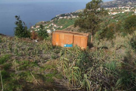 Helårsgrund i Arco da Calheta, Madeira, Arco da Calheta - € 600.000 | Ref: 1510 - foto 3