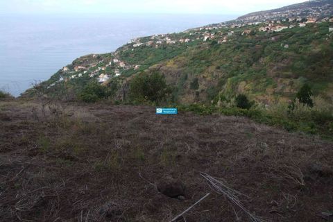 Helårsgrund i Arco da Calheta, Madeira, Arco da Calheta - € 600.000 | Ref: 1510 - foto 4