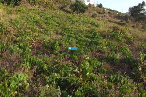 Helårsgrund i Arco da Calheta, Madeira, Arco da Calheta - € 600.000 | Ref: 1510 - foto 5