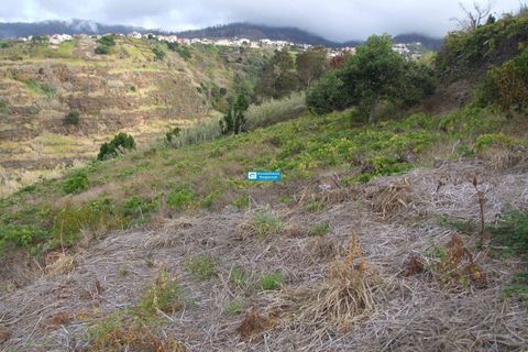 Helårsgrund i Arco da Calheta, Madeira, Arco da Calheta - € 600.000 | Ref: 1510 - foto 8