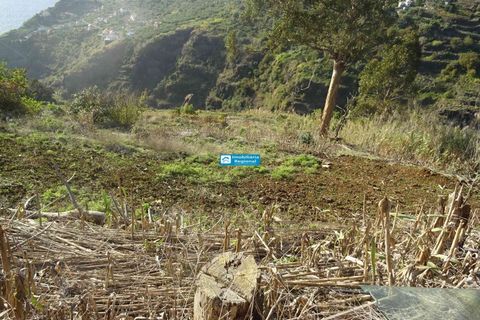Helårsgrund i Arco da Calheta, Madeira, Arco da Calheta - € 600.000 | Ref: 1510 - foto 9