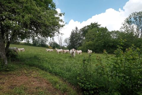 Villa i Ouroux-en-Morvan, Nievre, Ouroux-en-Morvan - € 349.000 | Ref: 23068 - foto 26