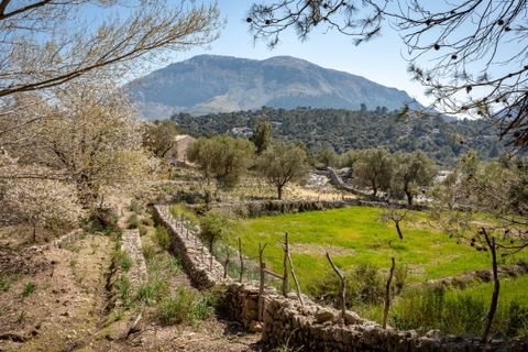 Landejendom i Escorca, Mallorca, Escorca - € 5.500.000 | Ref: 65303 - foto 3