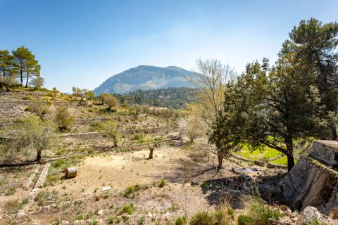 Landejendom i Escorca, Mallorca, Escorca - € 5.500.000 | Ref: 65303 - foto 6