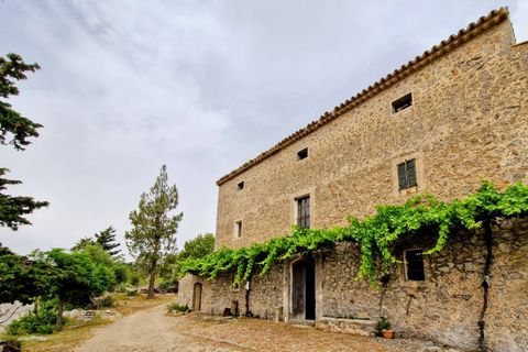 Landejendom i Escorca, Mallorca, Escorca - € 5.500.000 | Ref: 65303 - foto 7