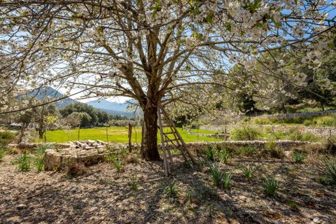 Landejendom i Escorca, Mallorca, Escorca - € 5.500.000 | Ref: 65303 - foto 8