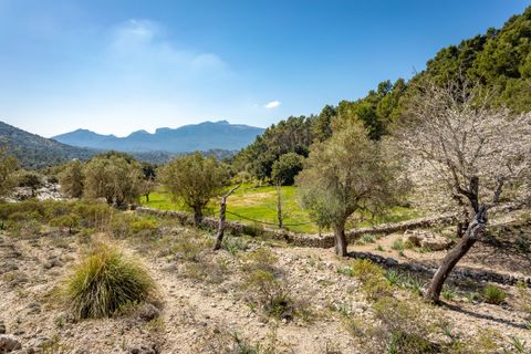 Landejendom i Escorca, Mallorca, Escorca - € 5.500.000 | Ref: 65303 - foto 10