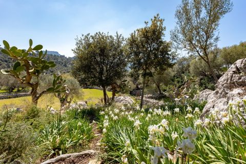 Landejendom i Escorca, Mallorca, Escorca - € 5.500.000 | Ref: 65303 - foto 13
