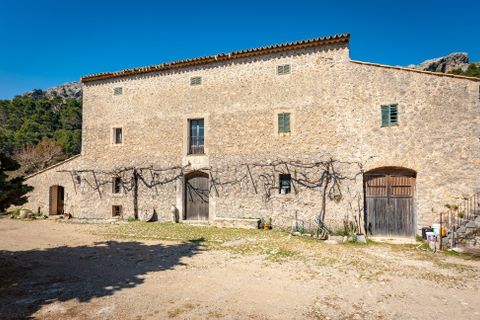 Landejendom i Escorca, Mallorca, Escorca - € 5.500.000 | Ref: 65303 - foto 14