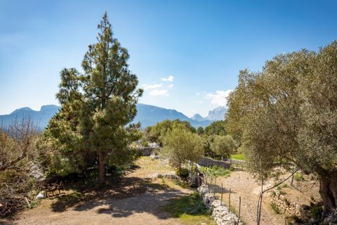 Landejendom i Escorca, Mallorca, Escorca - € 5.500.000 | Ref: 65303 - foto 15