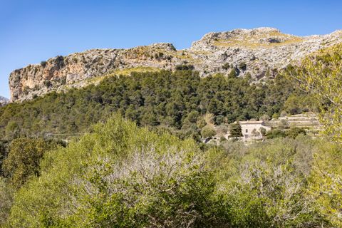 Landejendom i Escorca, Mallorca, Escorca - € 5.500.000 | Ref: 65303 - foto 16
