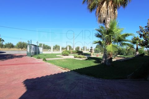 Villa a Campo Maior, Portalegre, Campo Maior - € 445.000 | Ref: CAS_3932 - foto 7