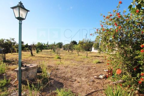 Villa a Campo Maior, Portalegre, Campo Maior - € 445.000 | Ref: CAS_3932 - foto 39