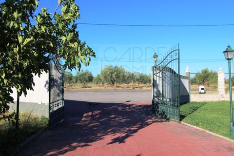 Villa a Campo Maior, Portalegre, Campo Maior - € 445.000 | Ref: CAS_3932 - foto 42