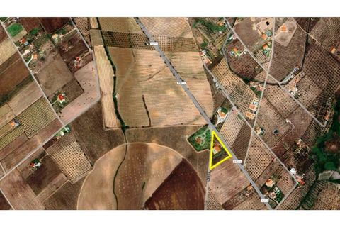 Villa a Campo Maior, Portalegre, Campo Maior - € 445.000 | Ref: CAS_3932 - foto 45