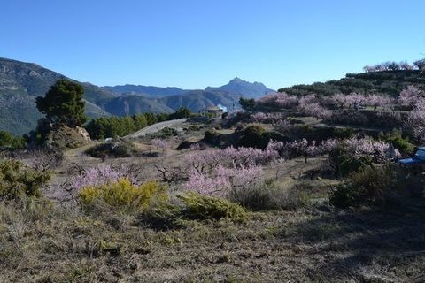 Helårsgrund i Benimantell, Alicante, Benimantell - € 121.000 | Ref: 6357 - foto 10